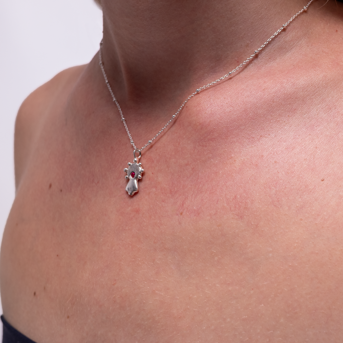 Collar Virgen del Pilar plata